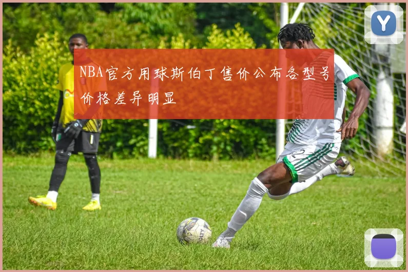 NBA官方用球斯伯丁售价公布各型号价格差异明显