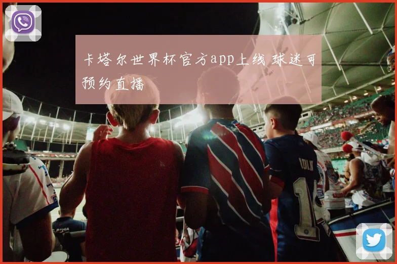 卡塔尔世界杯官方app上线 球迷可预约直播